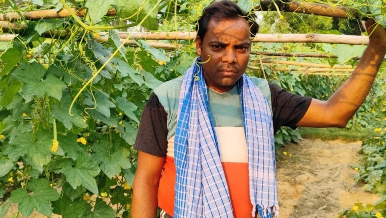 यूट्यूब से सीखी मचान विधि, 5 हजार की लागत में 50 दिन बाद लाखों कमा रहे बोकारो के किसान मनोज