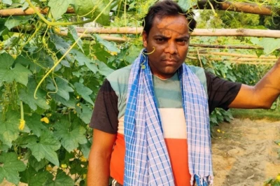 यूट्यूब से सीखी मचान विधि, 5 हजार की लागत में 50 दिन बाद लाखों कमा रहे बोकारो के किसान मनोज