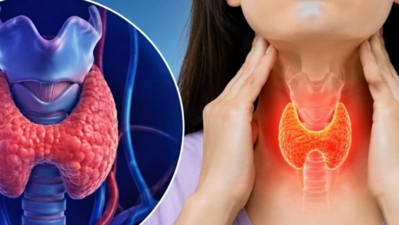 थायराइड से जूझ रहे हैं? जानें कारगर घरेलू उपाय और सही डाइट