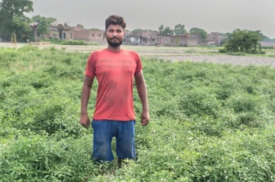 खेती में बड़ा मुनाफा: इस खास मिर्च की डिमांड है हमेशा, कम समय में मिलता है बंपर उत्पादन