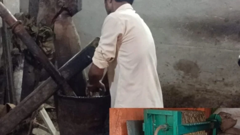 बैल कोल्हू का सरसों तेल: साधारण तेल से क्यों है बेहतर और क्यों चुकानी पड़ती है इतनी ज्यादा कीमत?