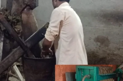 बैल कोल्हू का सरसों तेल: साधारण तेल से क्यों है बेहतर और क्यों चुकानी पड़ती है इतनी ज्यादा कीमत?