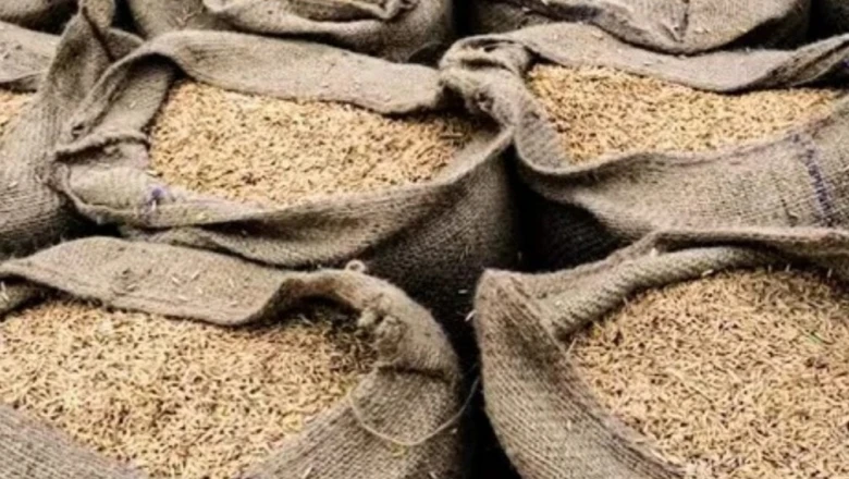 Jeera Storage Tips: मानसून में खराब नहीं होगा जीरा, किसानों के लिए सुरक्षित भंडारण के आसान तरीके