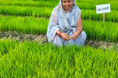 SRI विधि: कम लागत में धान की बंपर पैदावार, महिला किसान Girija Devi ने पेश की नई मिसाल