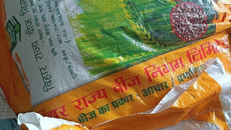 समस्तीपुर के किसानों के लिए बड़ी राहत, 50 प्रतिशत सब्सिडी पर मिल रहा 'Rajendra Neelam' धान बीज
