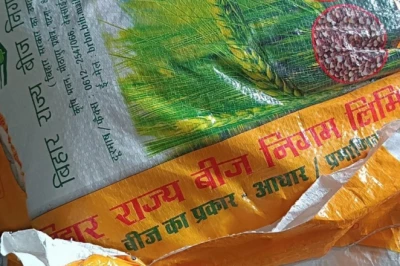 समस्तीपुर के किसानों के लिए बड़ी राहत, 50 प्रतिशत सब्सिडी पर मिल रहा 'Rajendra Neelam' धान बीज