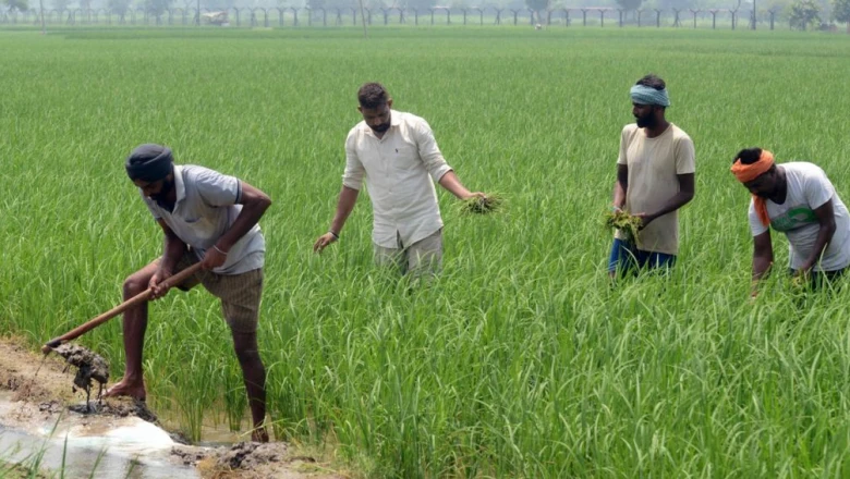 Kisan Credit Card के नियमों में RBI का बड़ा बदलाव, अगले साल जनवरी से बदल जाएगी व्यवस्था