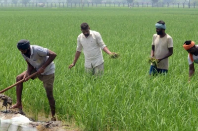 Kisan Credit Card के नियमों में RBI का बड़ा बदलाव, अगले साल जनवरी से बदल जाएगी व्यवस्था