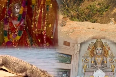 बारिश में किसी जन्नत से कम नहीं पाली का यह शहर, जवाई के तेंदुओं से लेकर प्राचीन मंदिरों और झीलों तक 5 अनोखे अनुभव