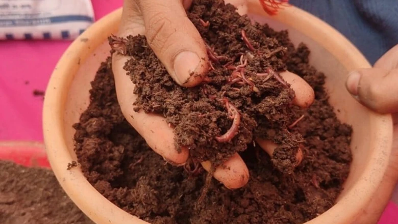 Chhapra के Rahul Sharma ने गोबर से तैयार की Organic खाद, 9 लाख की कमाई के साथ शुरू किया सफल कारोबार