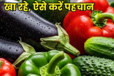 क्या आप अनजाने में खा रहे हैं केमिकल वाली सब्जियां? इन 6 आसान तरीकों से करें असली-नकली की पहचान