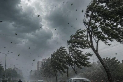 MP Weather Today: इंदौर-जबलपुर समेत 35 जिलों में येलो अलर्ट, जानें कैसा रहेगा आज का मौसम