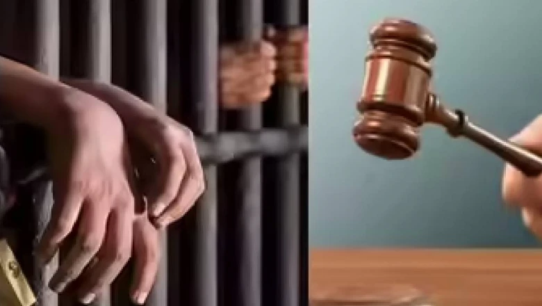 रतलाम ट्रिपल मर्डर केस: लूट के लिए परिवार के तीन सदस्यों की ली थी जान, कोर्ट ने तीन दोषियों को दी उम्रकैद