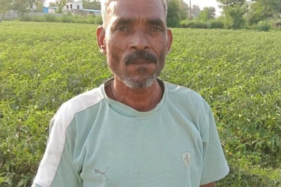 फरीदाबाद: भिंडी की फसल पर रहस्यमयी कीटों का कहर, लाखों की लागत डूबी