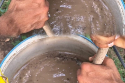 खेती का नया सीक्रेट: बस 2 लीटर इस जादुई टॉनिक से 30% तक बढ़ेगी फसल की पैदावार