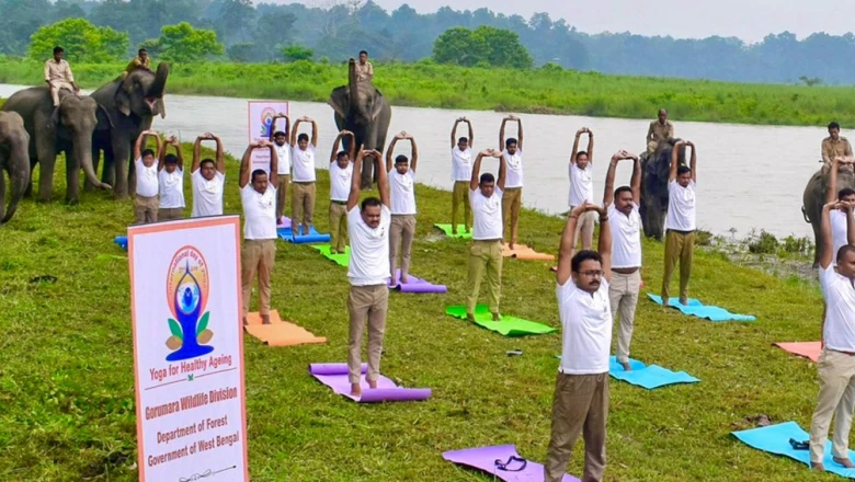 International Yoga Day 2026 LIVE: Kolkata में Narendra Modi 35000 लोगों के साथ करेंगे योग, Vijayawada में भी बड़ी तैयारी