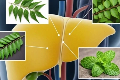 फैटी लिवर से हैं परेशान, तो रोजाना सुबह चबाएं ये 3 औषधीय पत्तियां
