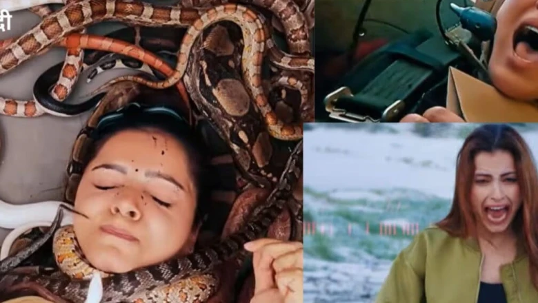 खतरों के खिलाड़ी 15 का खौफनाक प्रोमो वायरल, सांपों के बीच फंसी रुबीना, टॉप 2 फाइनलिस्ट के नाम हुए लीक