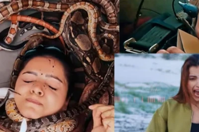 खतरों के खिलाड़ी 15 का खौफनाक प्रोमो वायरल, सांपों के बीच फंसी रुबीना, टॉप 2 फाइनलिस्ट के नाम हुए लीक