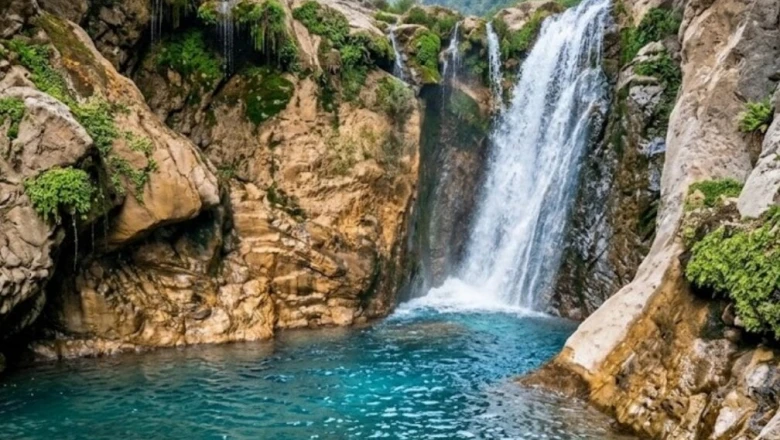 उत्तराखंड यात्रा: देहरादून का यह छिपा हुआ झरना है सुकून के लिए बेस्ट, परिवार के साथ जरूर बनाएं प्लान