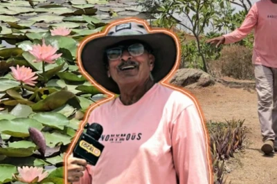 अब घर की बालकनी में खिलेगा कमल, रविंद्र काबरा की आसान ट्रिक से गमले में उगाएं सुंदर फूल