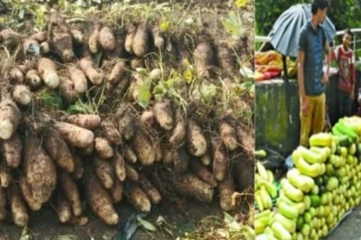 रतलाम की बालम ककड़ी और गराडू को मिला GI टैग, मालवा के जायके को मिली अंतरराष्ट्रीय पहचान