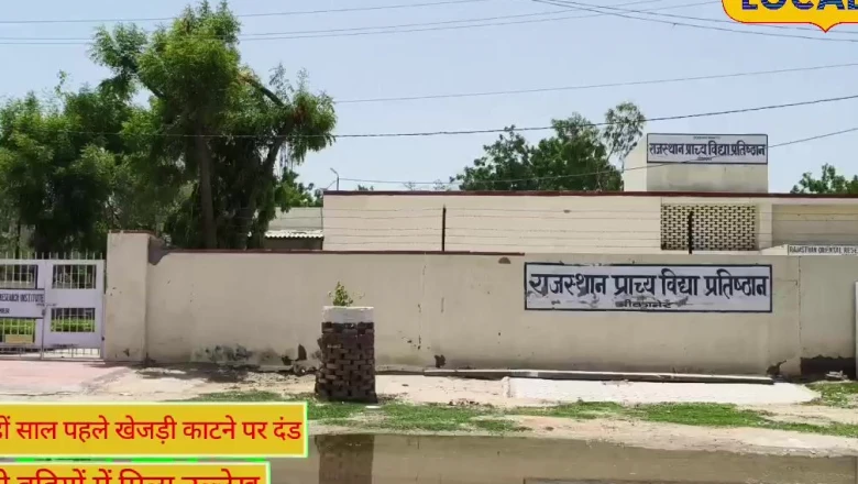 बीकानेर का 230 साल पुराना ऐतिहासिक फैसला: जब खेजड़ी के पेड़ों को काटने पर लगाया जाता था भारी जुर्माना