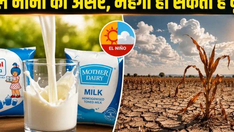 जुलाई-अगस्त में फिर महंगी हो सकती है आपकी दूध की थैली, अल नीनो का साया बढ़ाएगा परेशानी