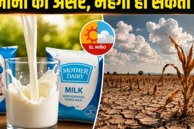 जुलाई-अगस्त में फिर महंगी हो सकती है आपकी दूध की थैली, अल नीनो का साया बढ़ाएगा परेशानी