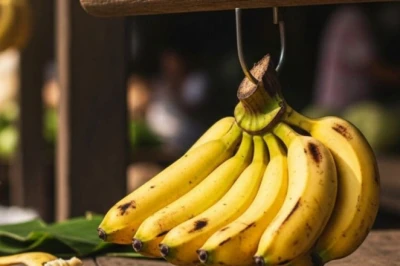 बाजार से लाए केले जल्दी काले पड़ जाते हैं, तो अपनाएं ये आसान घरेलू नुस्खे