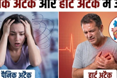 पैनिक अटैक और हार्ट अटैक में क्या फर्क है? विशेषज्ञ डॉक्टर ने बताया दिल पर इनका असर