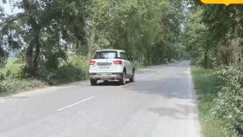 दरभंगा की ग्रीन रोड: तपती गर्मी में भी स्वर्ग जैसा एहसास, शहर से 5 डिग्री कम रहता है तापमान