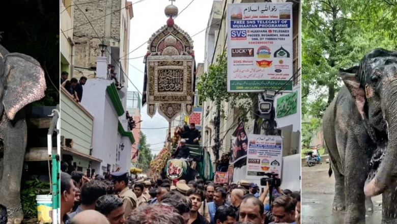 हैदराबाद की 400 साल पुरानी परंपरा, हाथी पर सवार होकर निकलता है बीबी का अलम