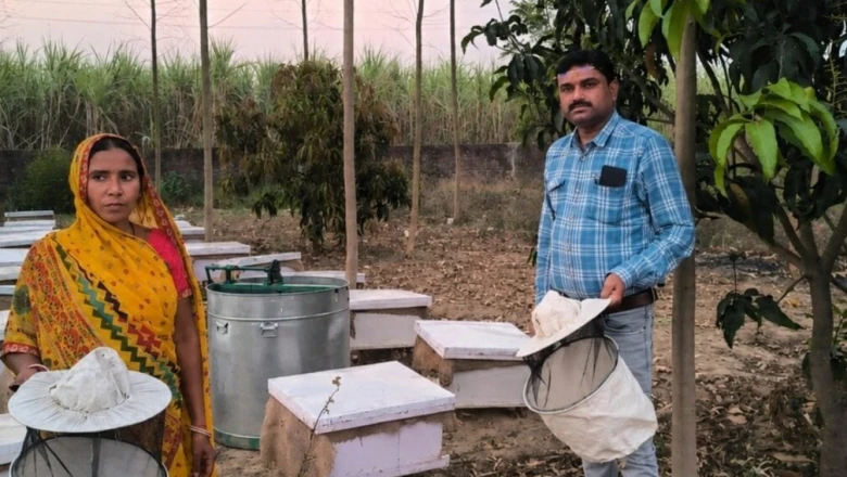 सरकारी योजना से बदली 5 किसानों की किस्मत, मधुमक्खी पालन से हो रही तगड़ी कमाई