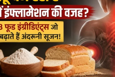 क्या गेहूं शरीर में बढ़ा रहा है अंदरूनी सूजन? जानें उन 8 चीजों के बारे में जो चुपके से बिगाड़ रही हैं सेहत