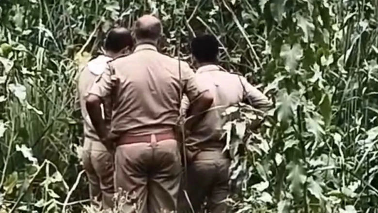 सोनभद्र: नाले की झाड़ियों में मिला नर कंकाल, इलाके में फैली सनसनी