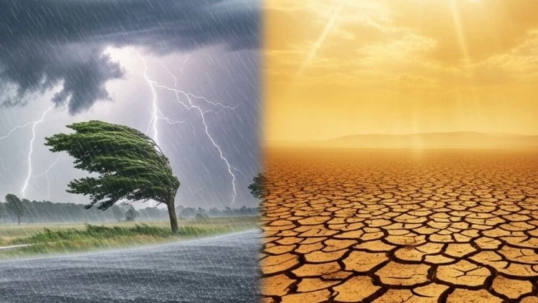 मध्य प्रदेश का मौसम: 41 जिलों में आंधी-बारिश का येलो अलर्ट, इन इलाकों में भीषण लू का प्रकोप