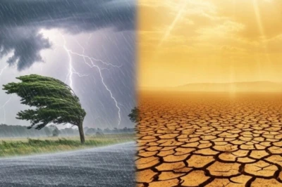 मध्य प्रदेश का मौसम: 41 जिलों में आंधी-बारिश का येलो अलर्ट, इन इलाकों में भीषण लू का प्रकोप