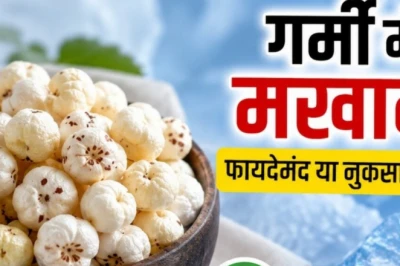 गर्मियों में मखाना खाना सेहत के लिए कितना फायदेमंद, एक्सपर्ट से जानें सही तरीका