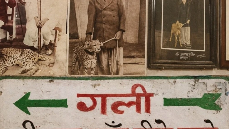 भरतपुर की 'चीते वाली गली': जहां कभी गूंजती थी शाही शिकार के जानवरों की दहाड़