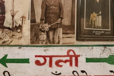 भरतपुर की 'चीते वाली गली': जहां कभी गूंजती थी शाही शिकार के जानवरों की दहाड़