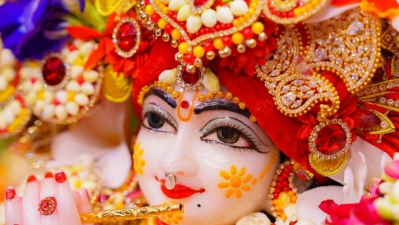 निर्जला एकादशी 2026: क्या जल पीने से टूट जाता है व्रत? जानें धार्मिक नियम और सही तरीका