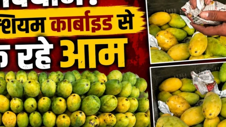 अलवर में फलों के नाम पर परोसा जा रहा ज़हर, कैल्शियम कार्बाइड से पकाए जा रहे आम