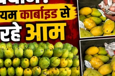 अलवर में फलों के नाम पर परोसा जा रहा ज़हर, कैल्शियम कार्बाइड से पकाए जा रहे आम