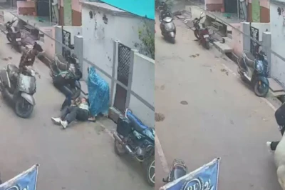 राजगढ़: सड़कों पर आवारा सांडों का खौफ, स्कूल से लौट रही बच्ची को मारी टक्कर