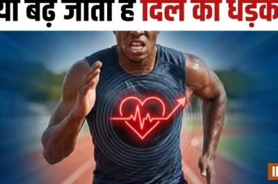 क्या दिल की तेज धड़कन हार्ट अटैक का संकेत है, जानिए इसके मुख्य कारण और बचाव के उपाय