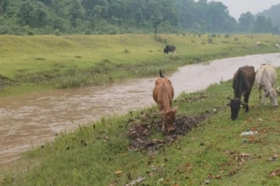 रांची का छिपा हुआ स्वर्ग: गूंगा नाला बना पर्यटकों की पहली पसंद, कश्मीर जैसी वादियों का मिलता है अहसास