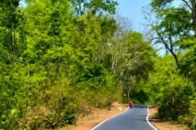 मानसून में घूमने का है प्लान, तो पलामू के बेतला से महुआडांड़ तक का सफर रहेगा यादगार