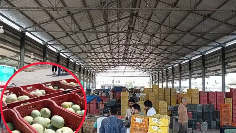 अंबाला में निर्जला एकादशी पर खरबूजे का संकट, भाव सुनकर उड़ जाएंगे होश