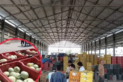 अंबाला में निर्जला एकादशी पर खरबूजे का संकट, भाव सुनकर उड़ जाएंगे होश